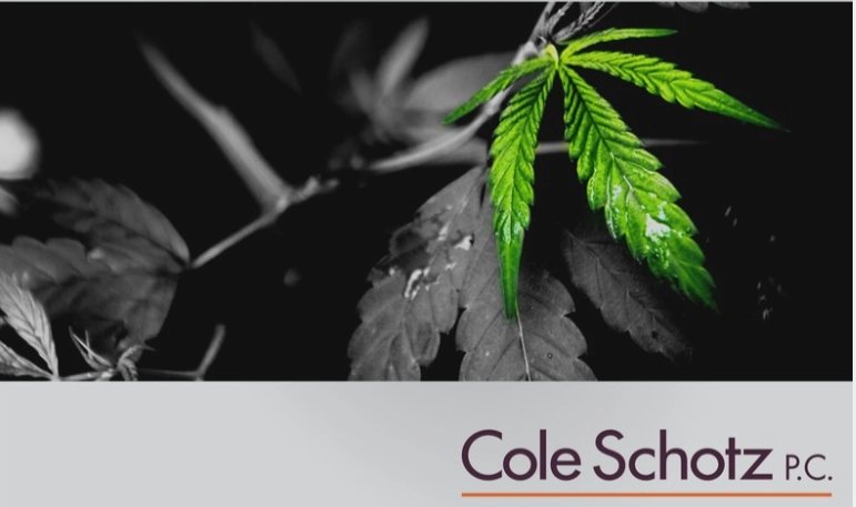NJ Cannabis Legalization & Advocacy, image 1