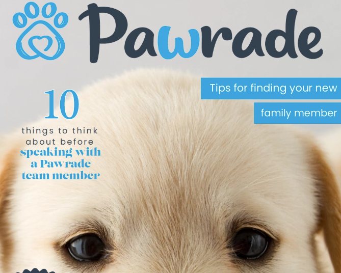 Content Across the Customer Journey: Buying & New Puppy Guides, image 1