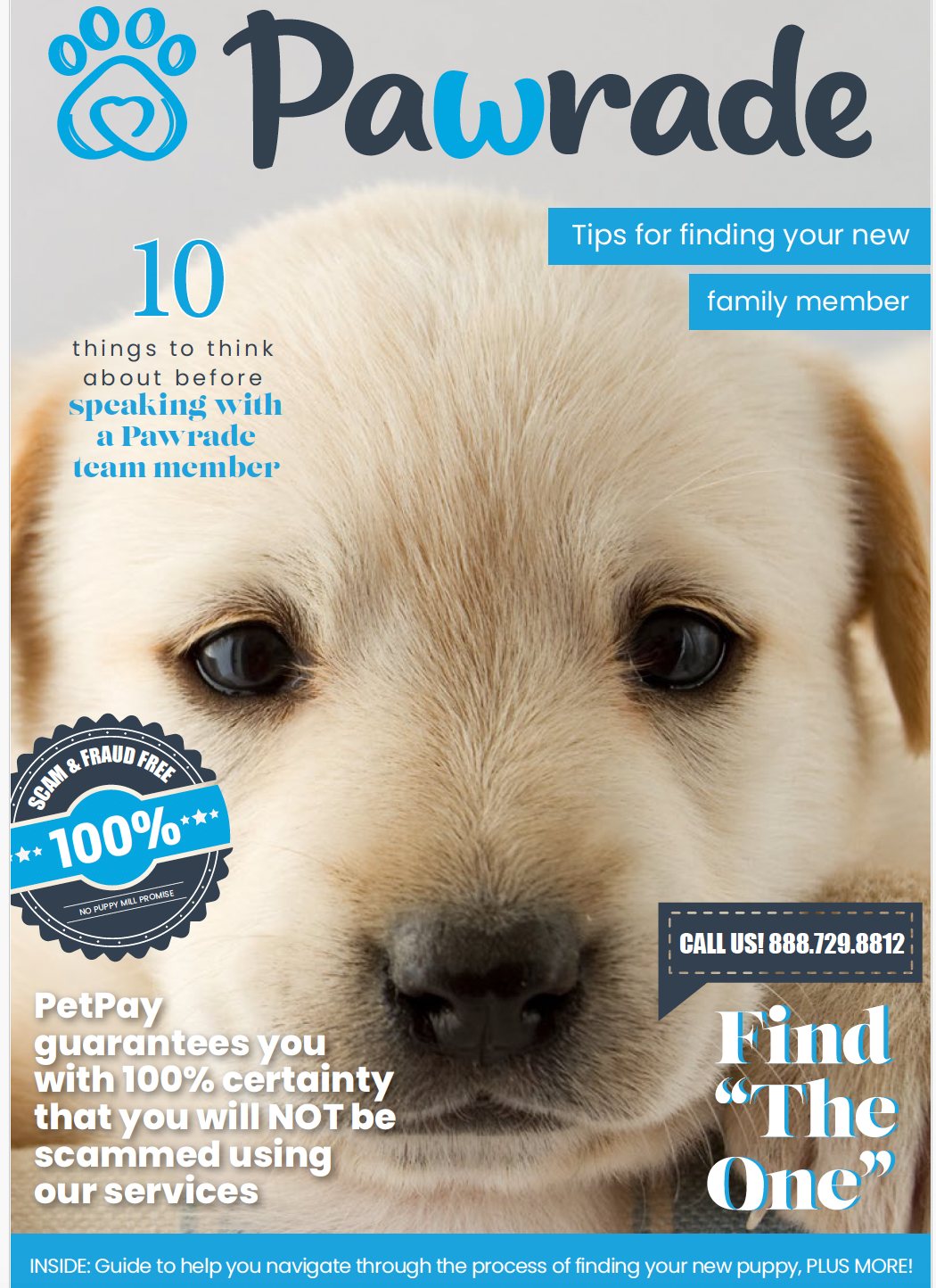 Content Across the Customer Journey: Buying & New Puppy Guides, image 2