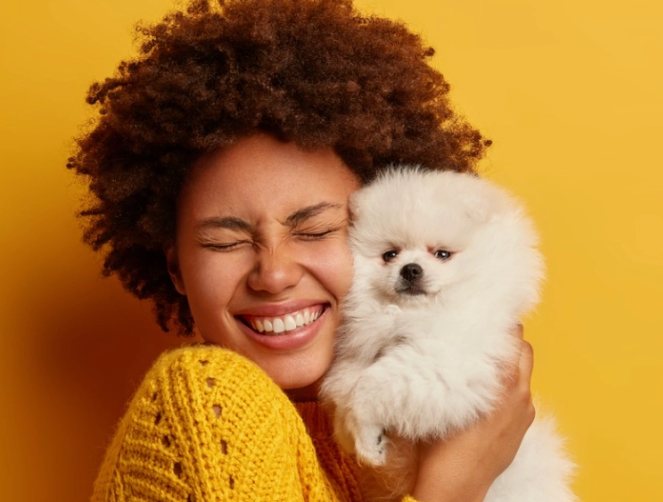 Turning the Customer Journey Into Content: New Puppy Guide, image 1