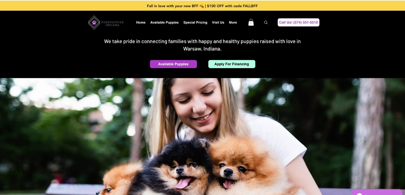 Scaling a Brand & Full-Funnel Growth Strategy, image 1